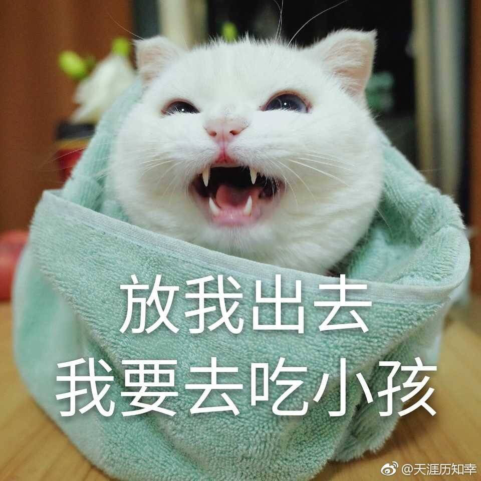 沈十二