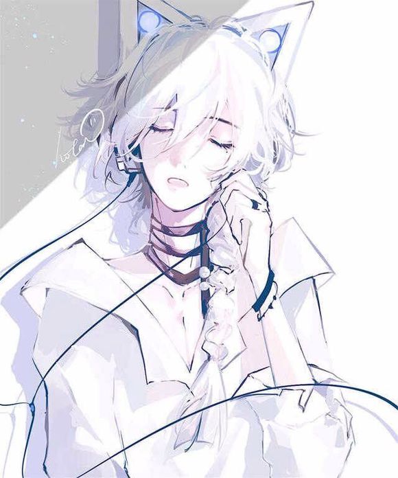 星空雪影