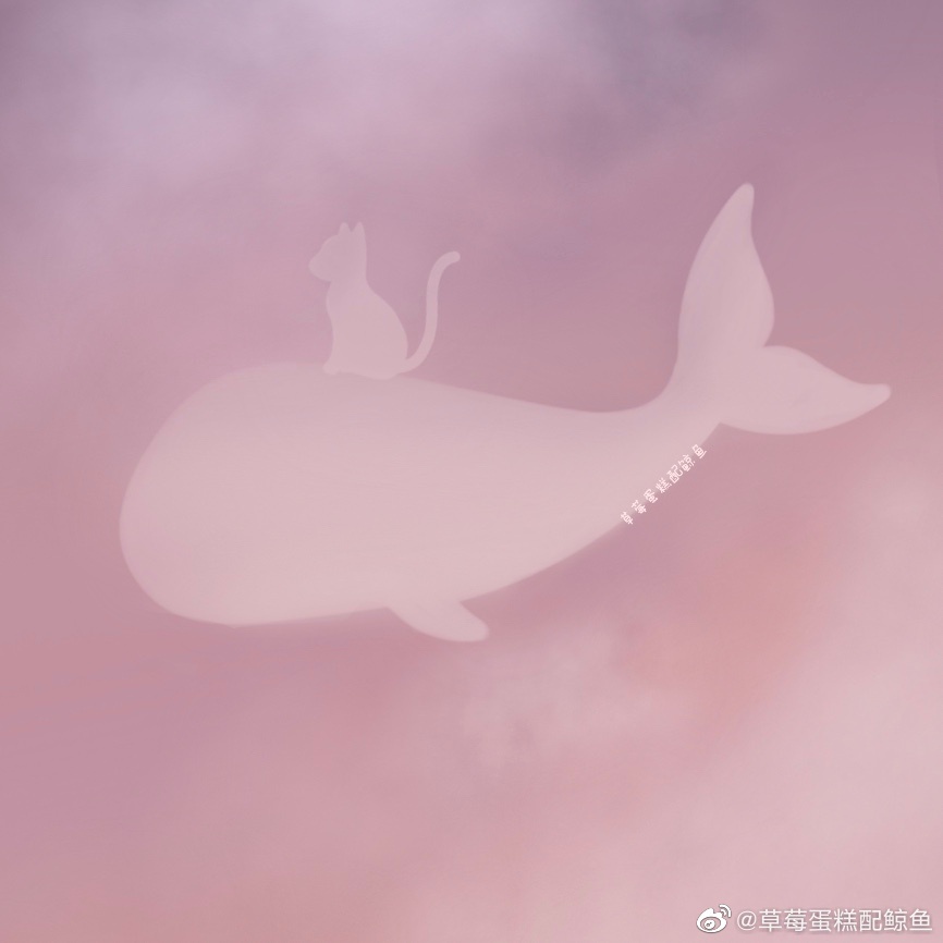 52HZ猫海鱼