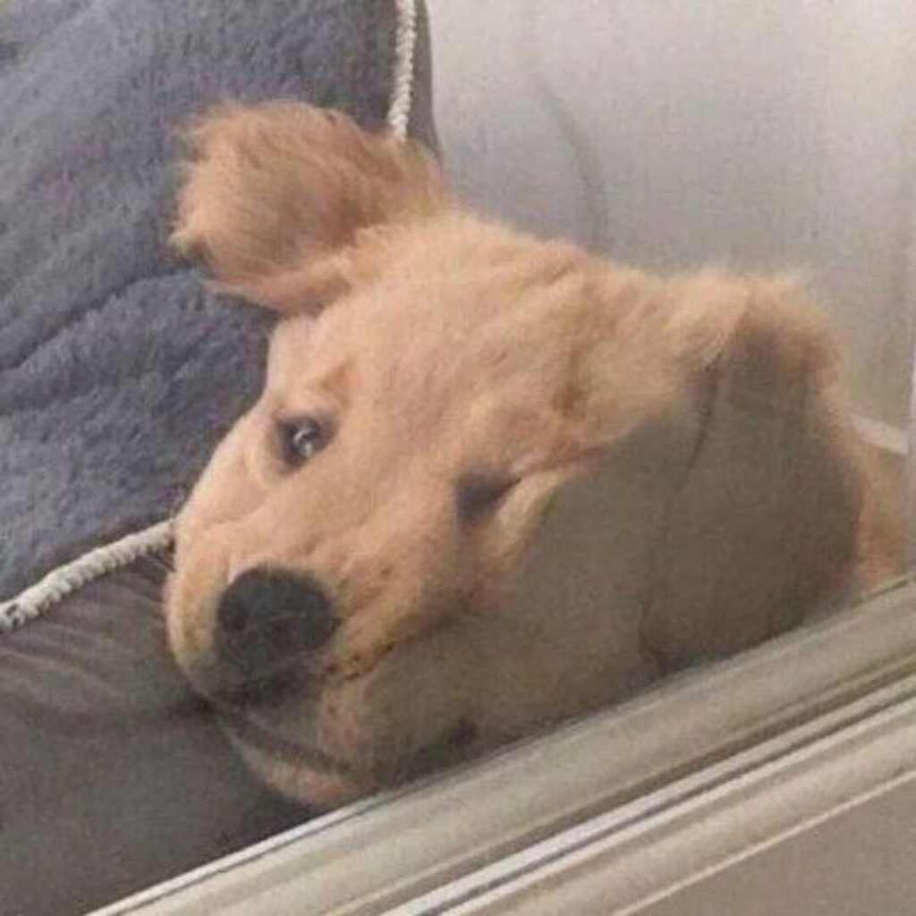快落鸭