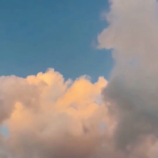 顾煜烟