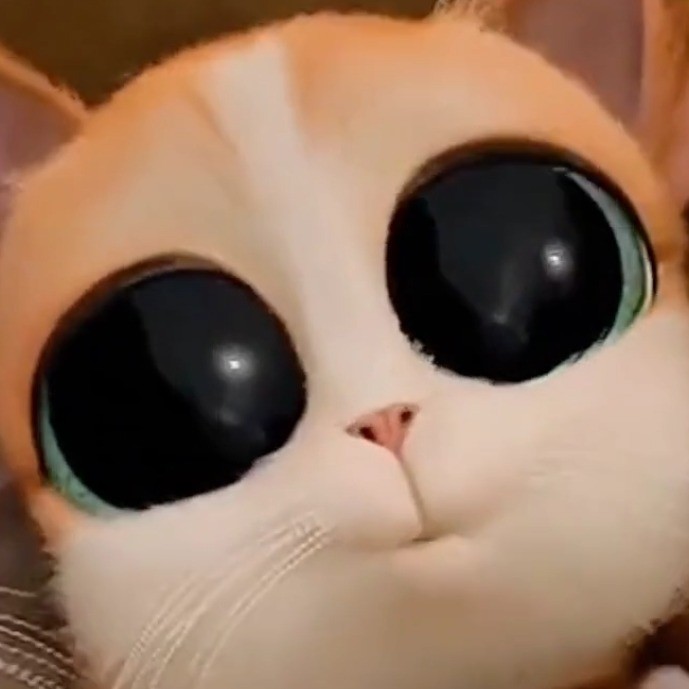 阡客