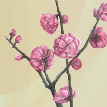 七衡六间