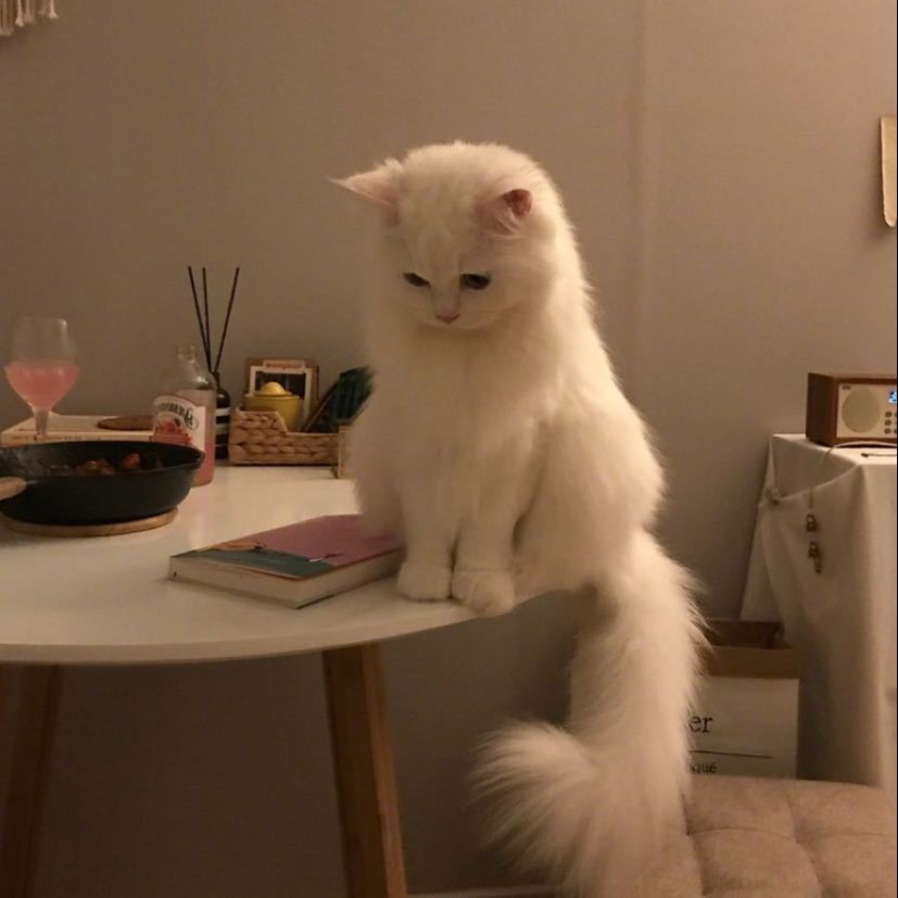 萝北酱