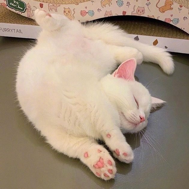 唤境用户106575108