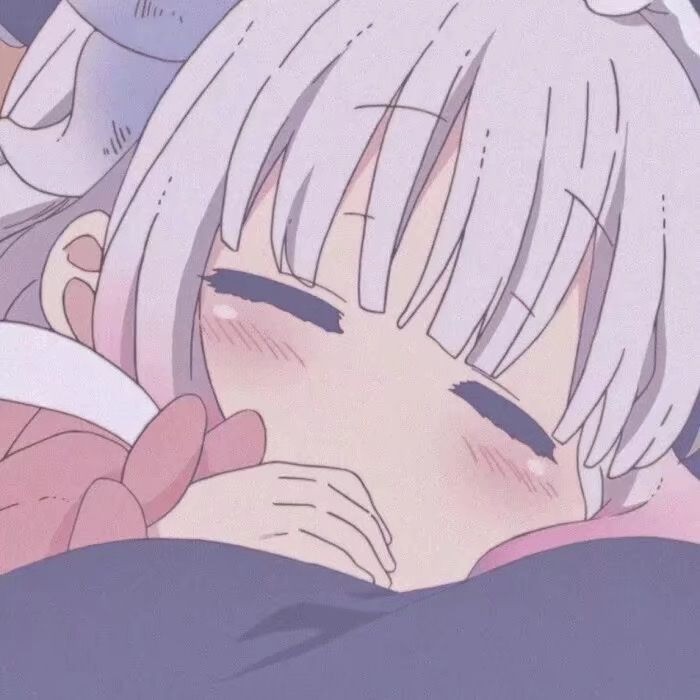 崽儿