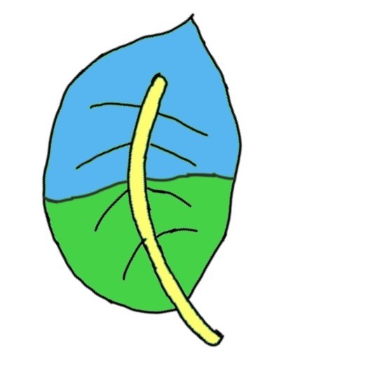 深沉苦叶