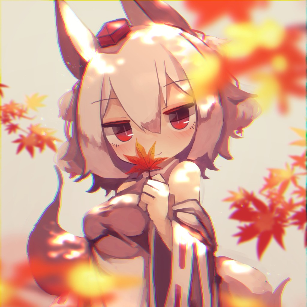 Momizi