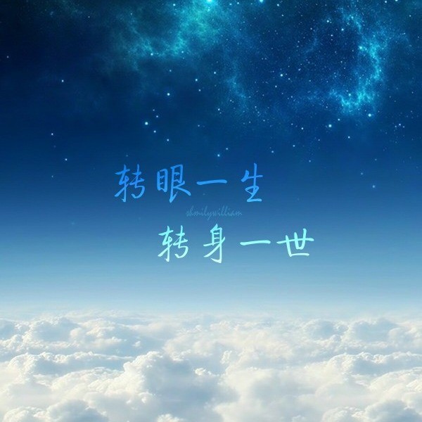 用户142281220