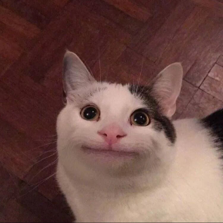 白皙